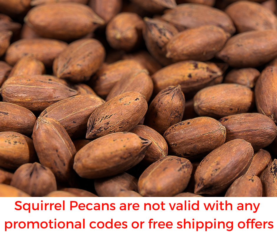 10 LBS SQUIRREL PECANS